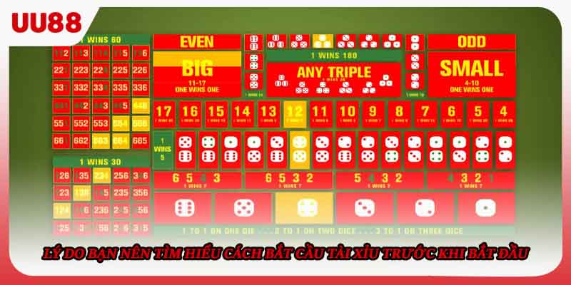 Lý do bạn nên tìm hiểu cách bắt cầu Tài xỉu trước khi bắt đầu